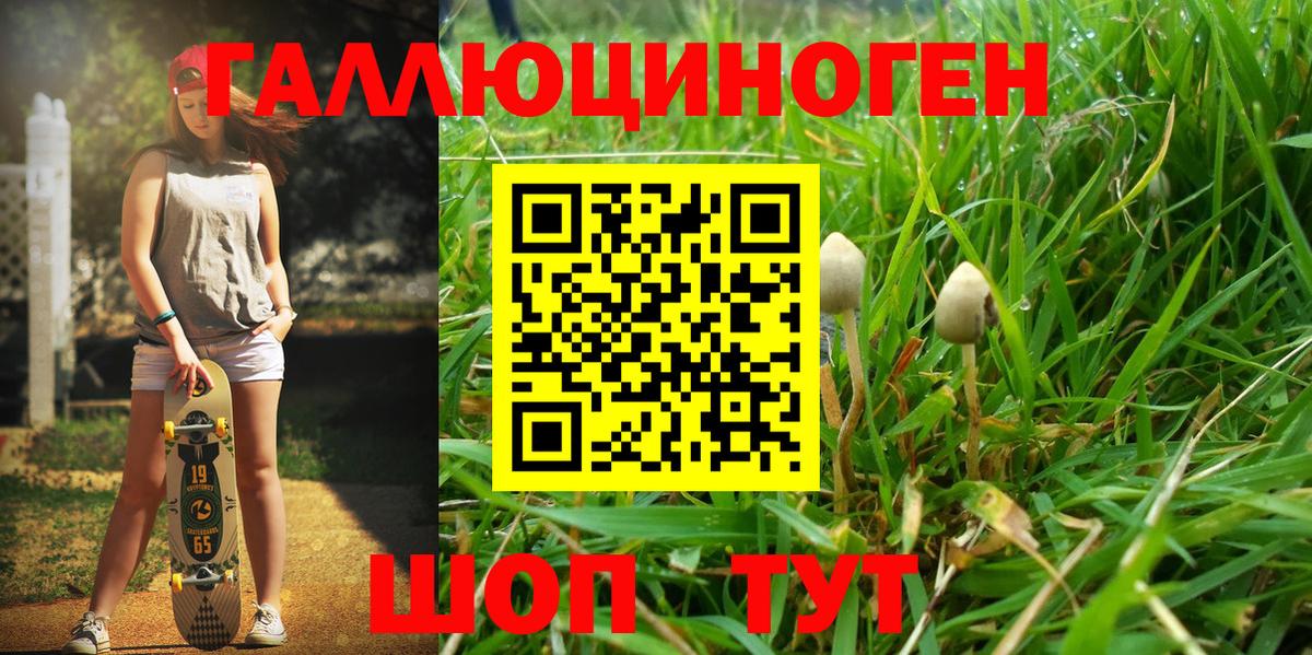 Галлюциногенные грибы GOLDEN TEACHER  цена наркотик  Черняховск  Вход с VPN 