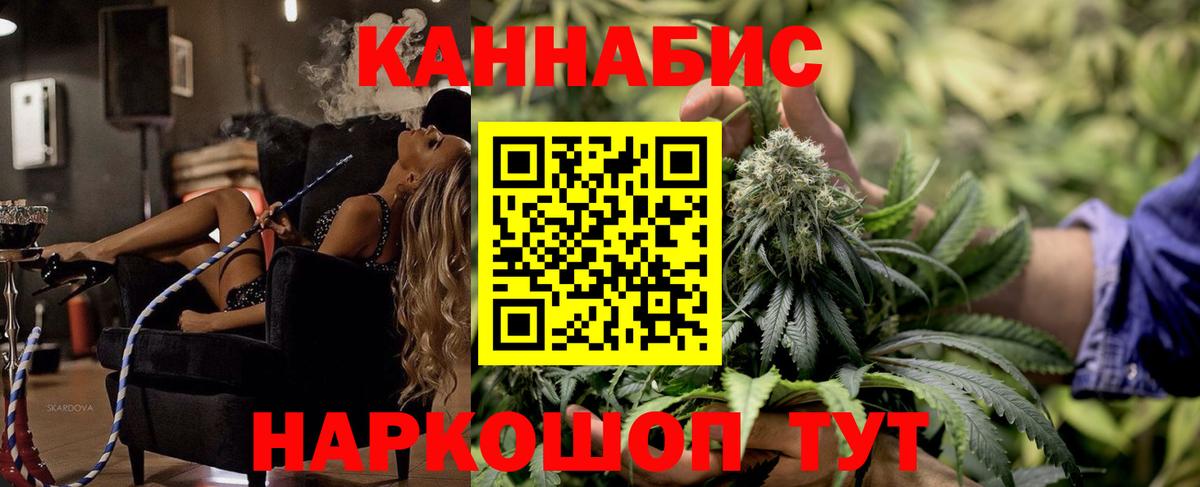 Каннабис планчик Черняховск